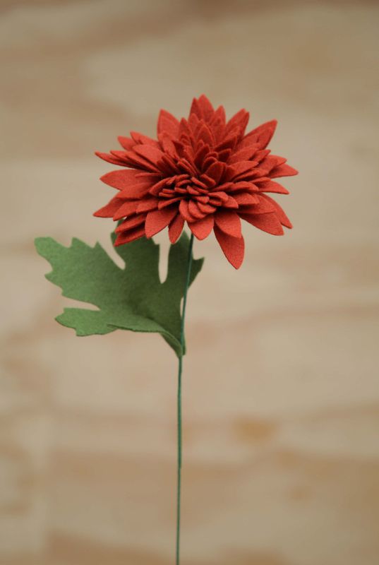 Chrysant (november) Chrysant (november)