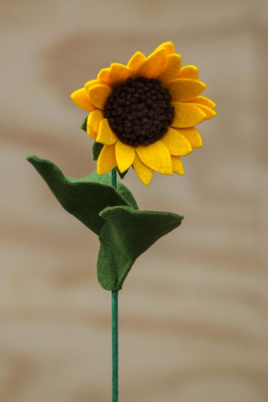 Zonnebloem Zonnebloem