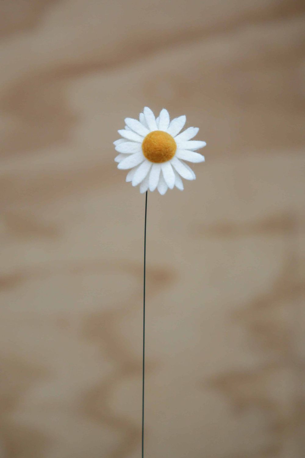 Margriet Margriet