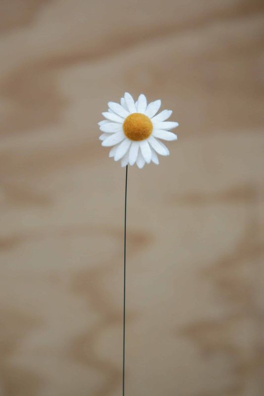 Margriet Margriet