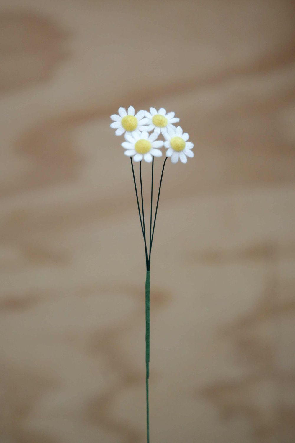 Madeliefje (april)