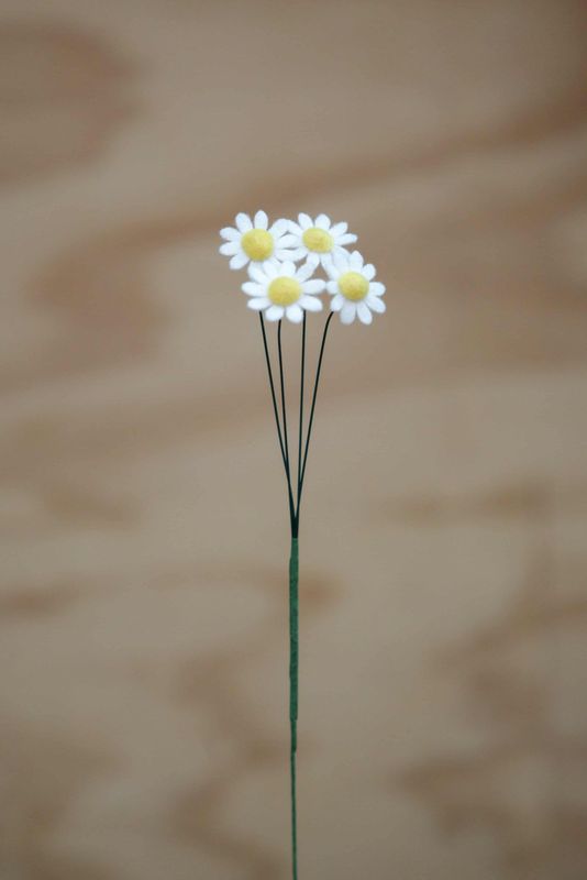 Madeliefje (april)