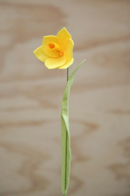 Narcis (maart)