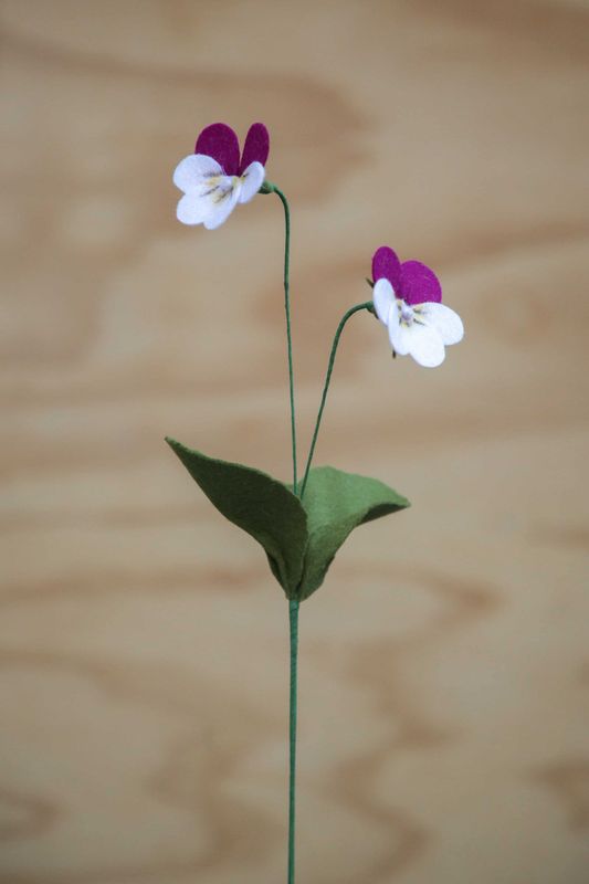 Viooltje (februari)