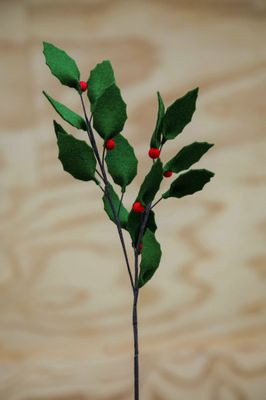 Hulst (december)