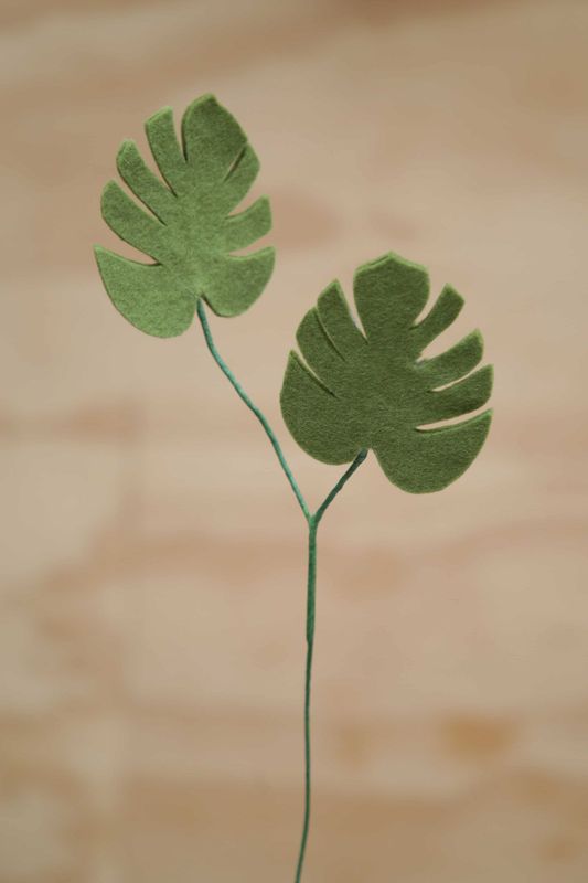 Monstera bladeren Monstera bladeren