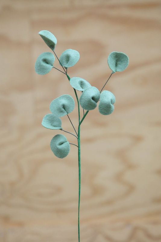 Eucalyptus 2.0
