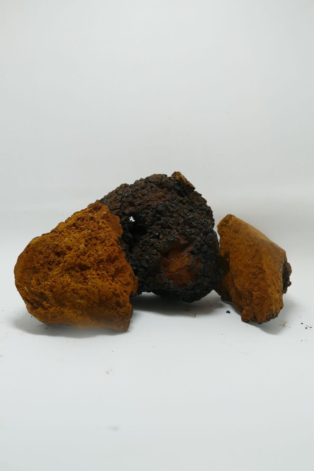Chaga -Pilz (große Brocken) (100 g)