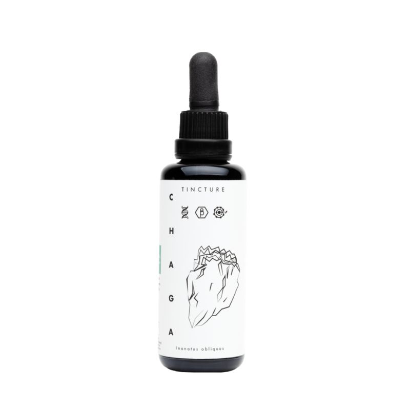 Chaga-Tinktur 50 ml