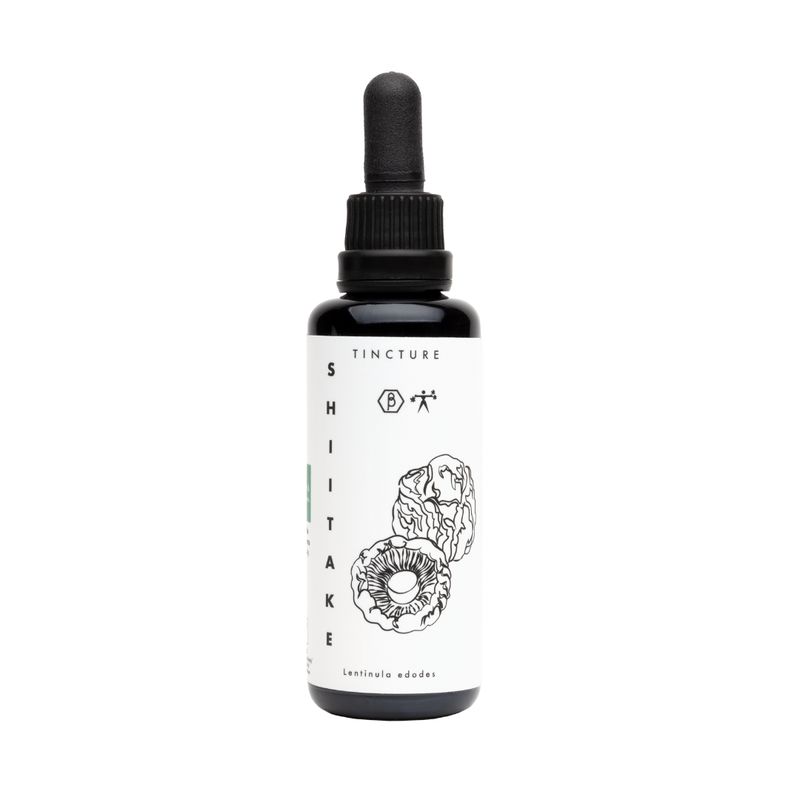 Shiitake-Tinktur 50 ml