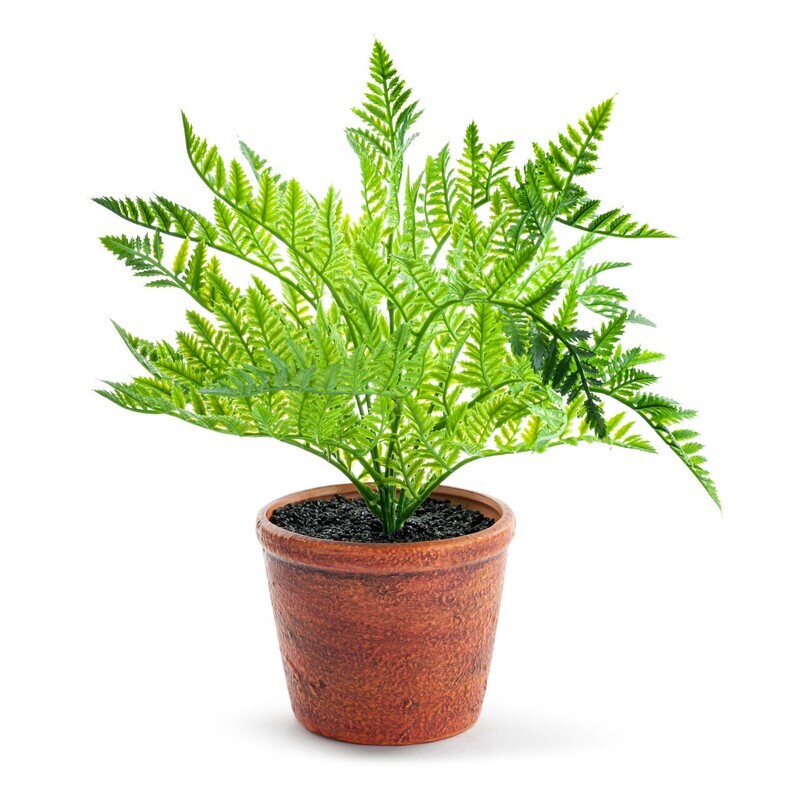 Floral Potted Faux Leafy Fern
