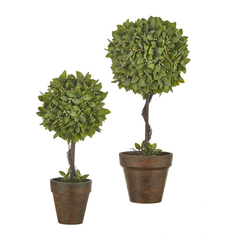 Floral Boxwood Potted Topiary Lg