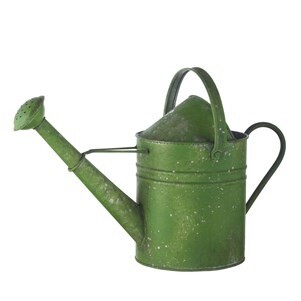 Plant Green Watering Can