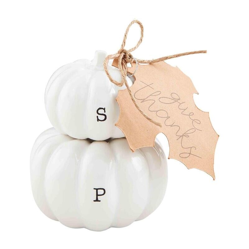 Fall Salt & Pepper Set Magnetic Pumpkin