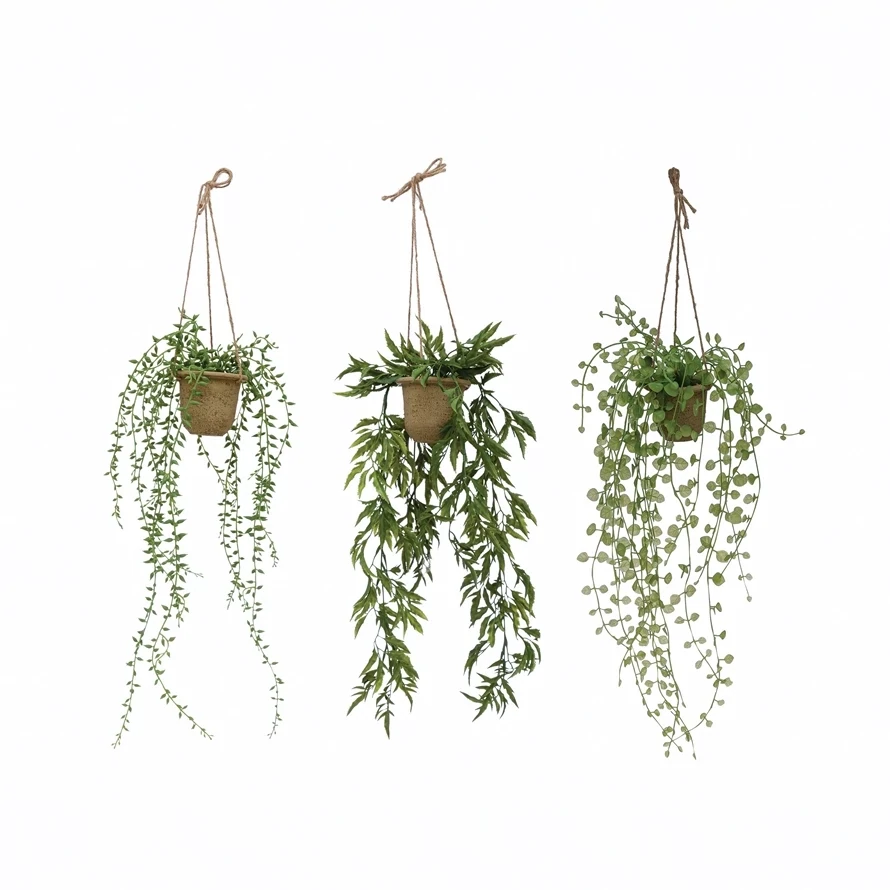Plant Hanging Ivy In Pot