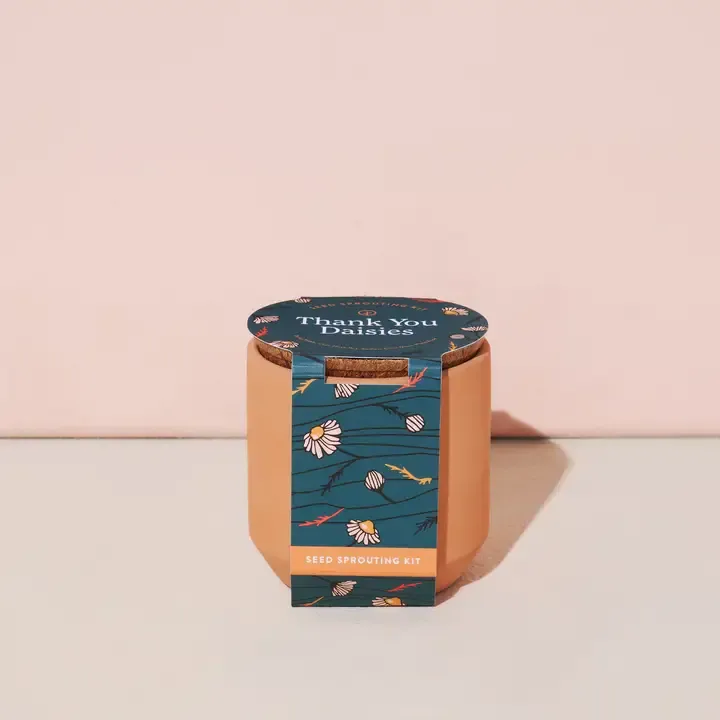 Tiny Terracotta Daisies