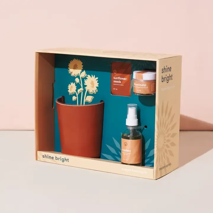 Shine Bright Positivity Kit