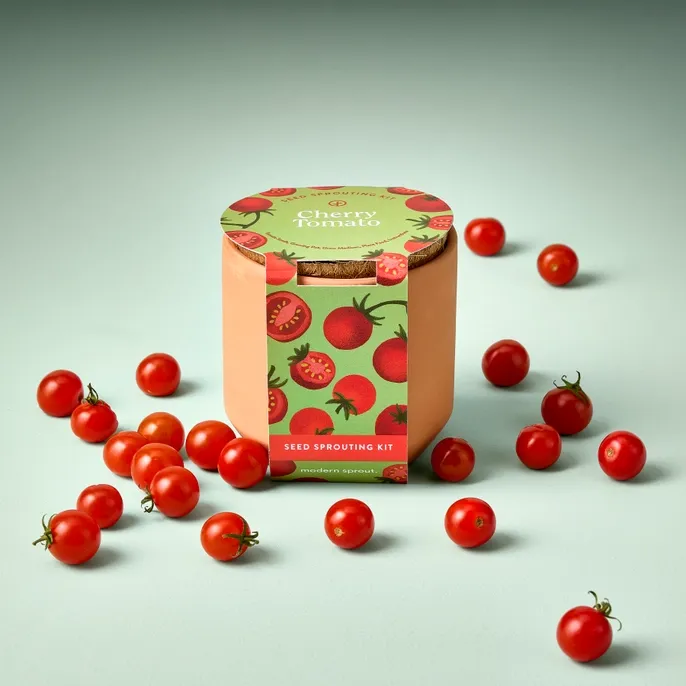 Tiny Terracotta Garden Kit Tomato