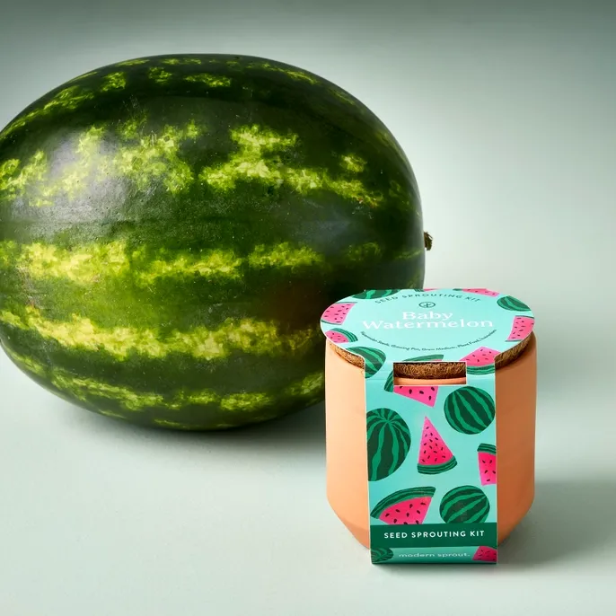 Tiny Terracotta Garden Kit Watermelon