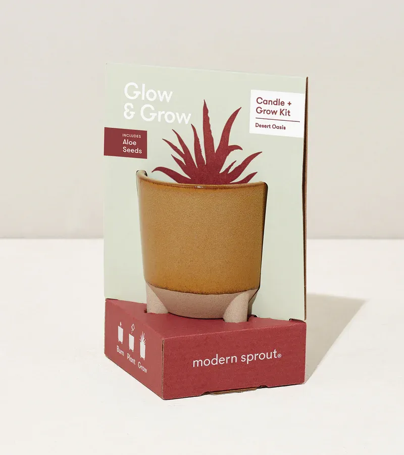 Glow & Grow Desert Oasis