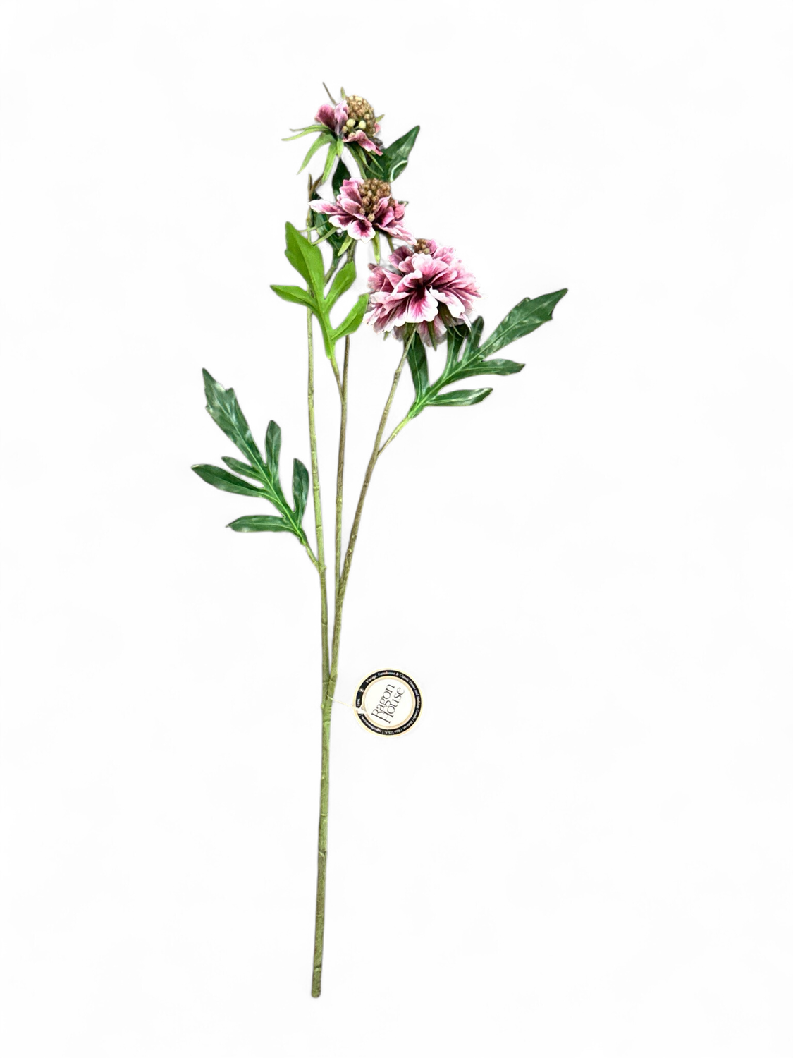 Floral 2- Pink/Purple