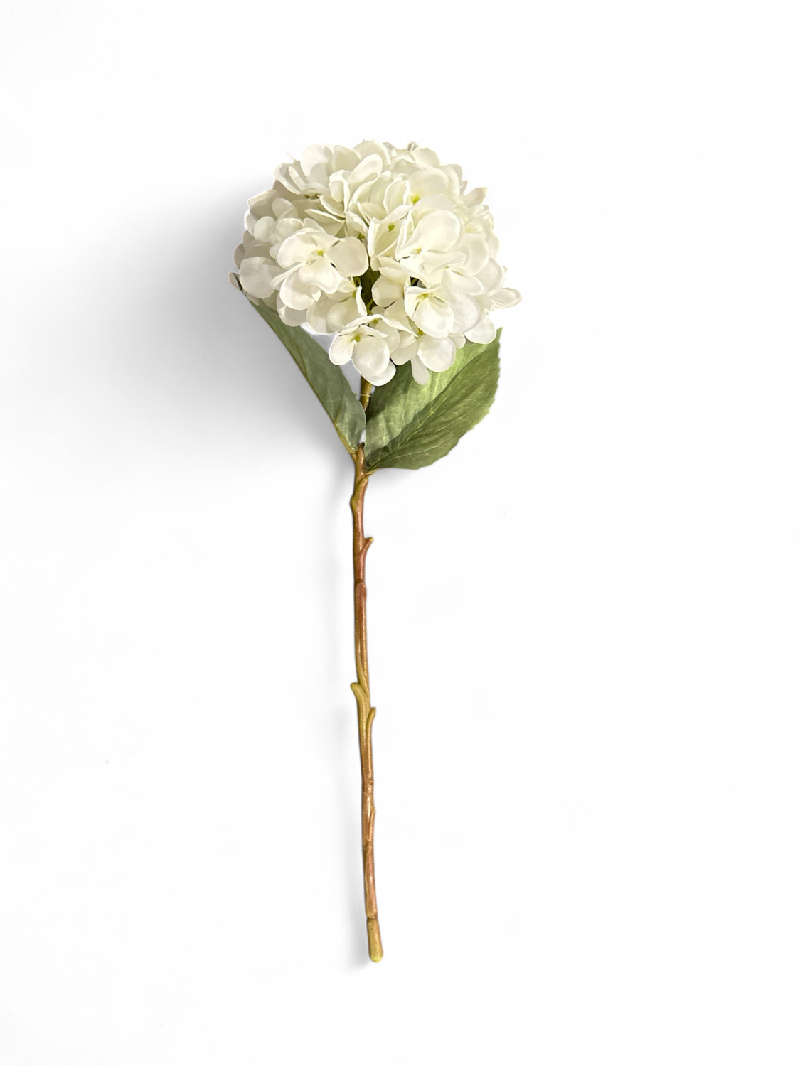 Floral 2- White