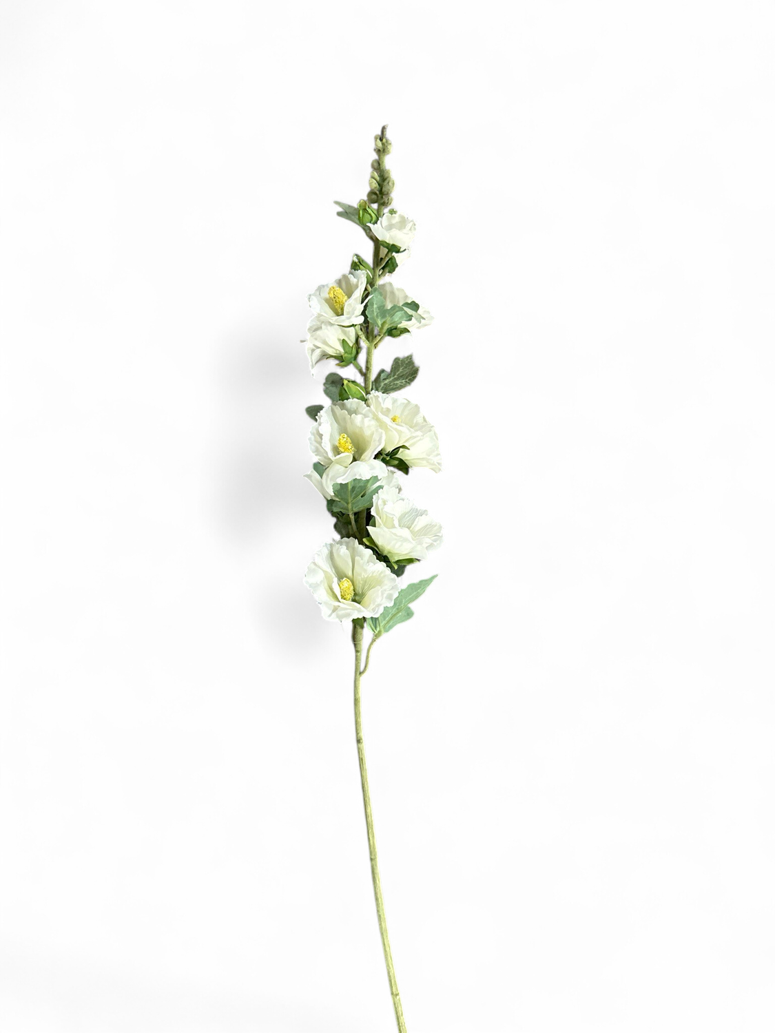 Floral 9- White