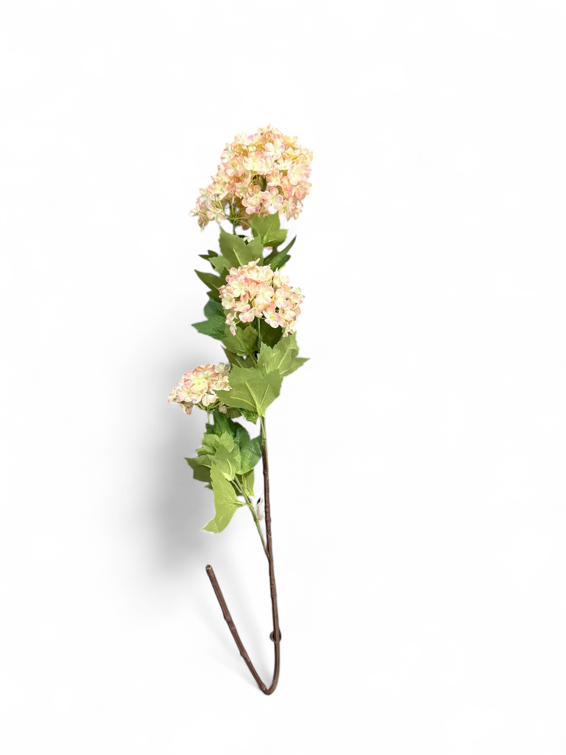 Floral 4 Pink/White