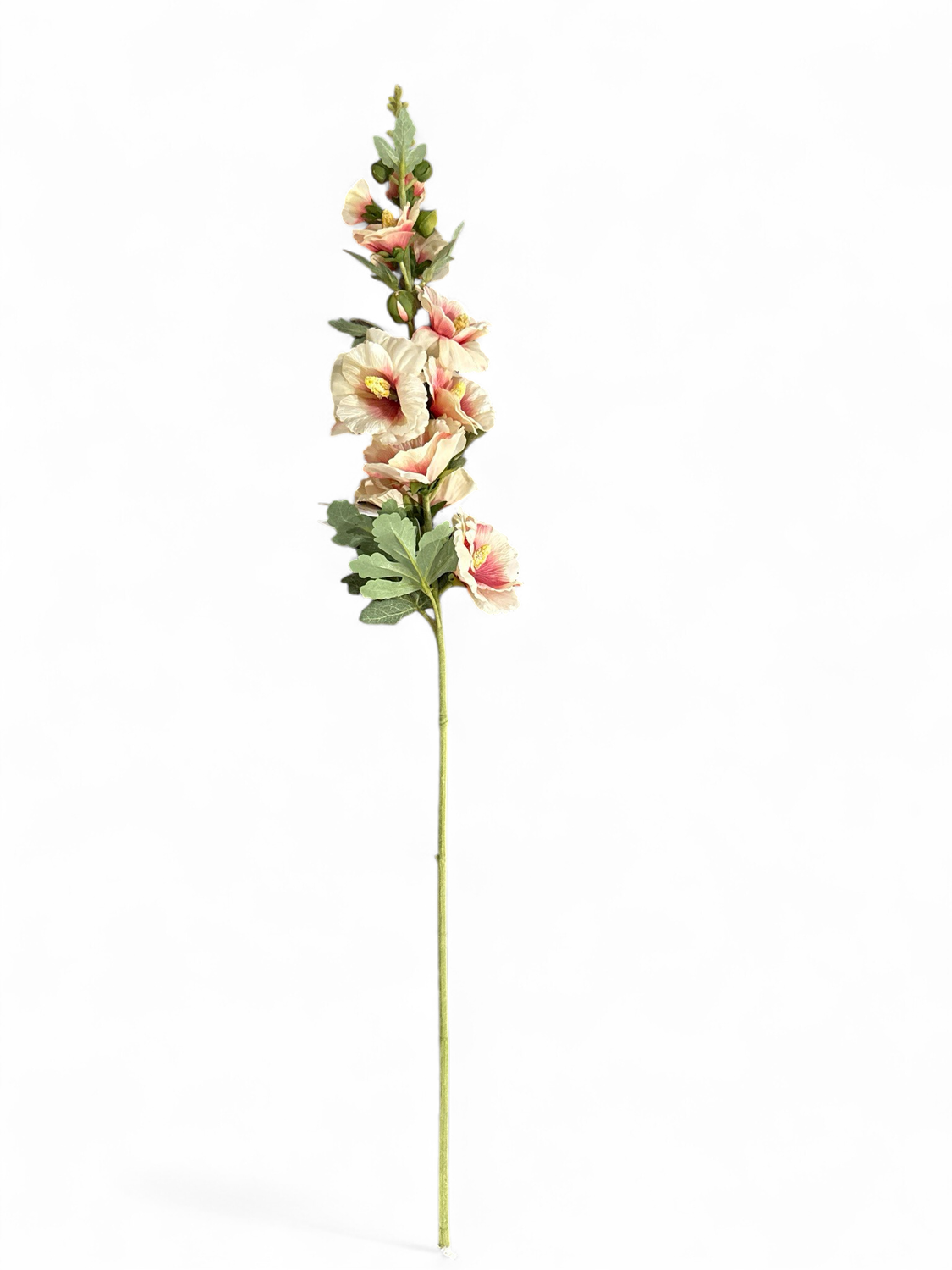 Floral 4- White/Pink