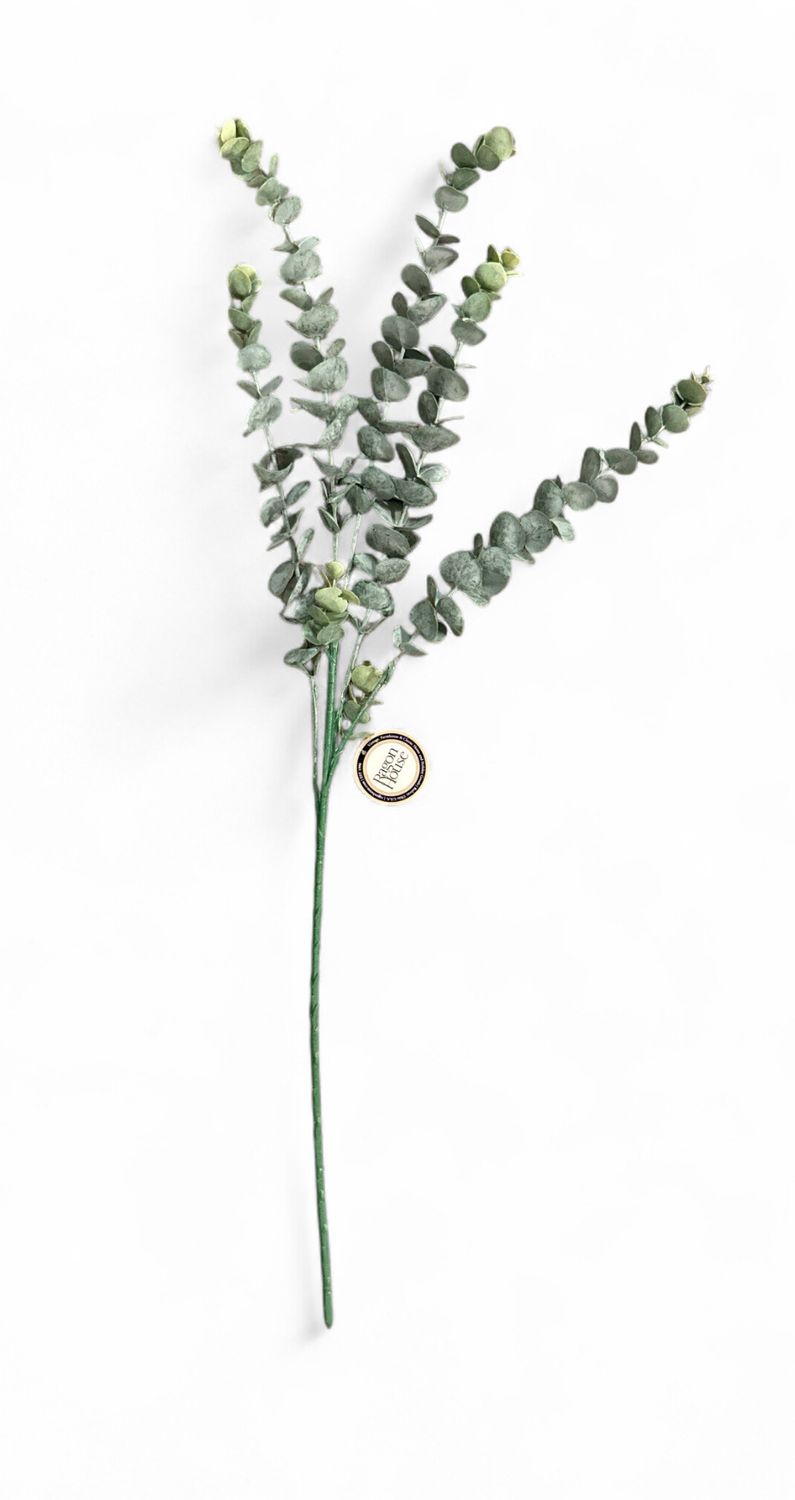 Floral 3- Eucalyptus