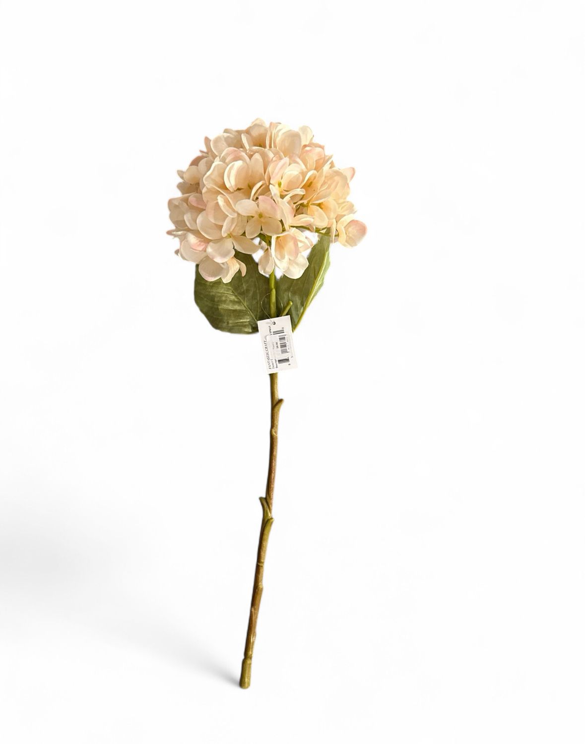 Floral 2- Peach