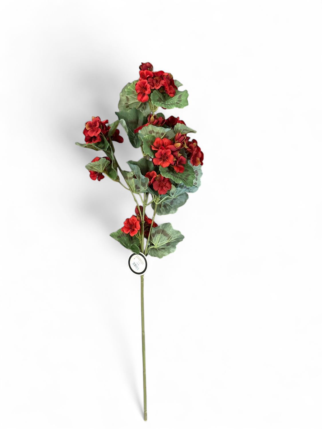 Floral 4- Red