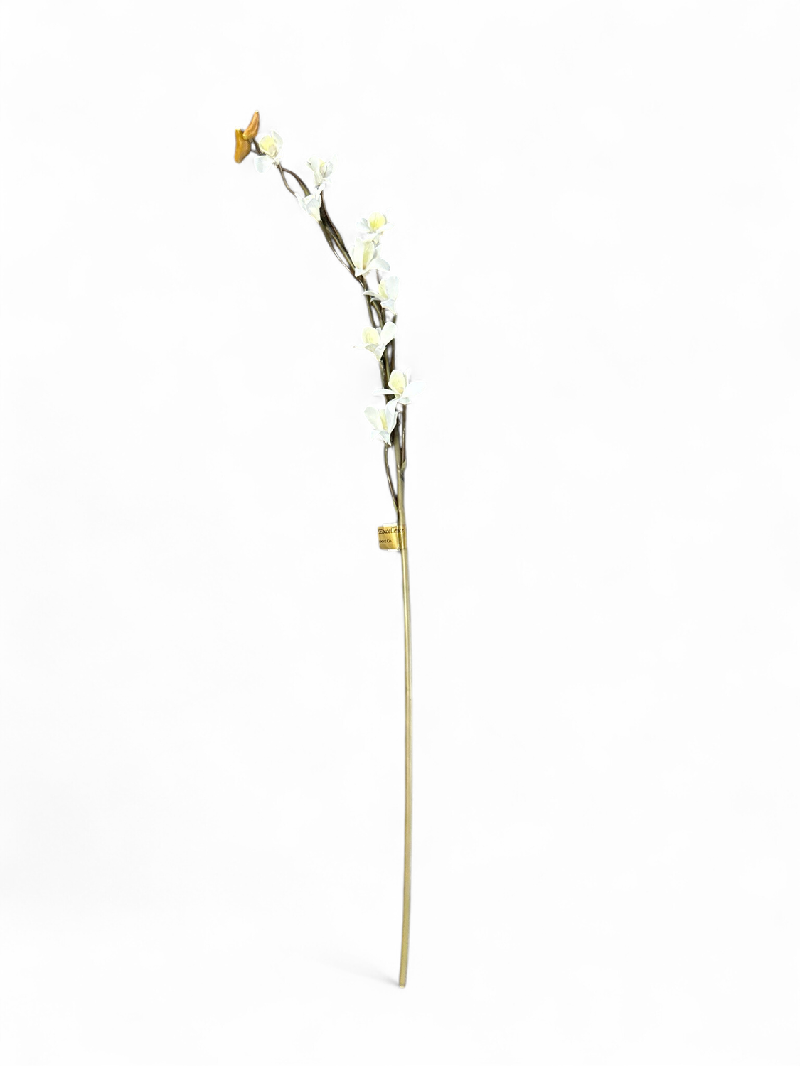 Floral  10- White