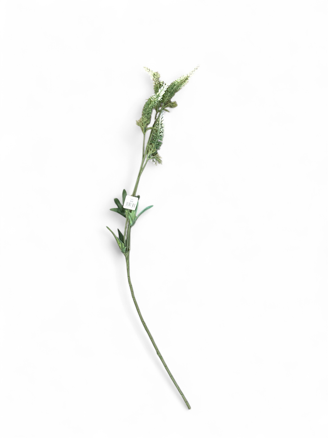Floral 1- White