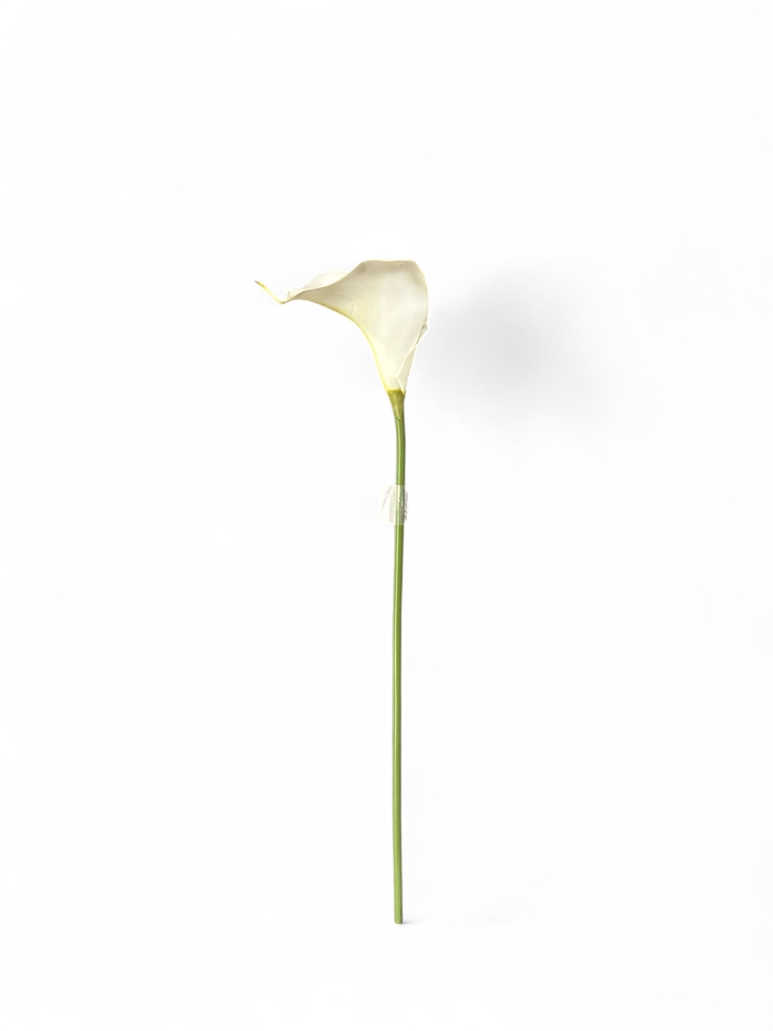 Floral 2- White Calla Lilly 2