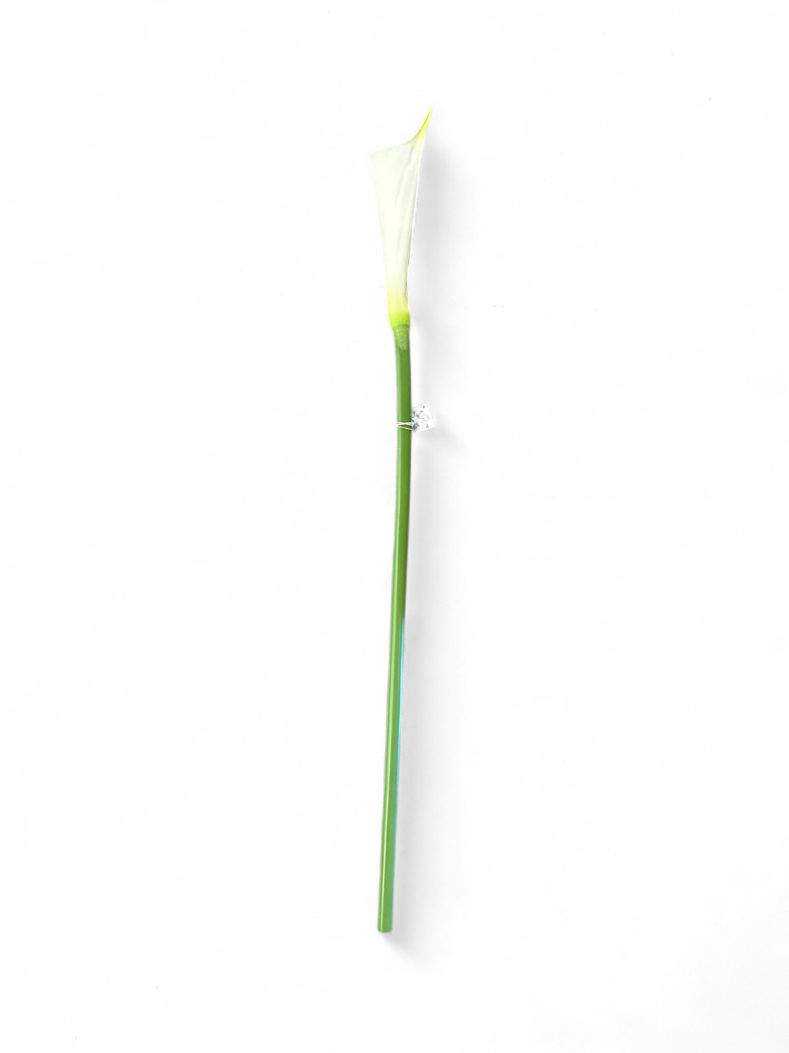 Floral 2- White Calla Lilly 1