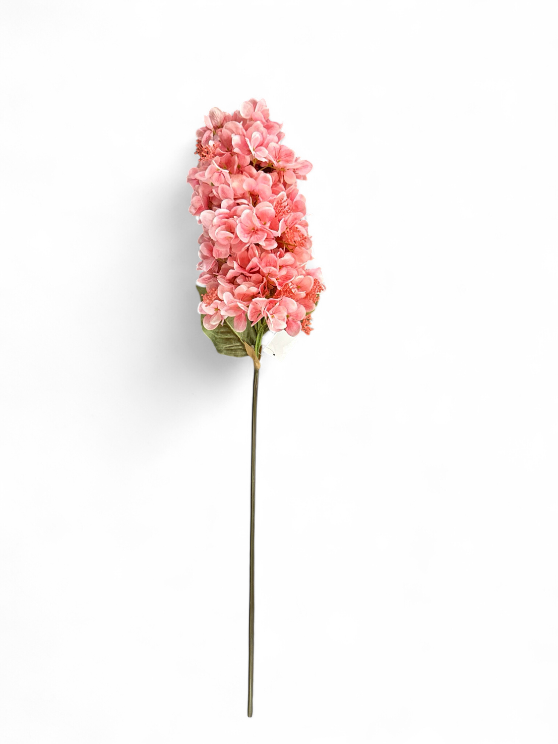 Floral 4- Pink