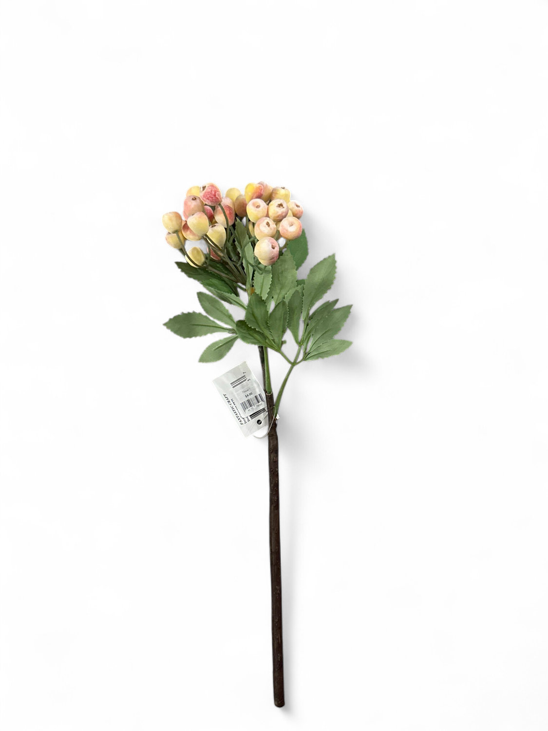 Floral 1- Hypericum Berry