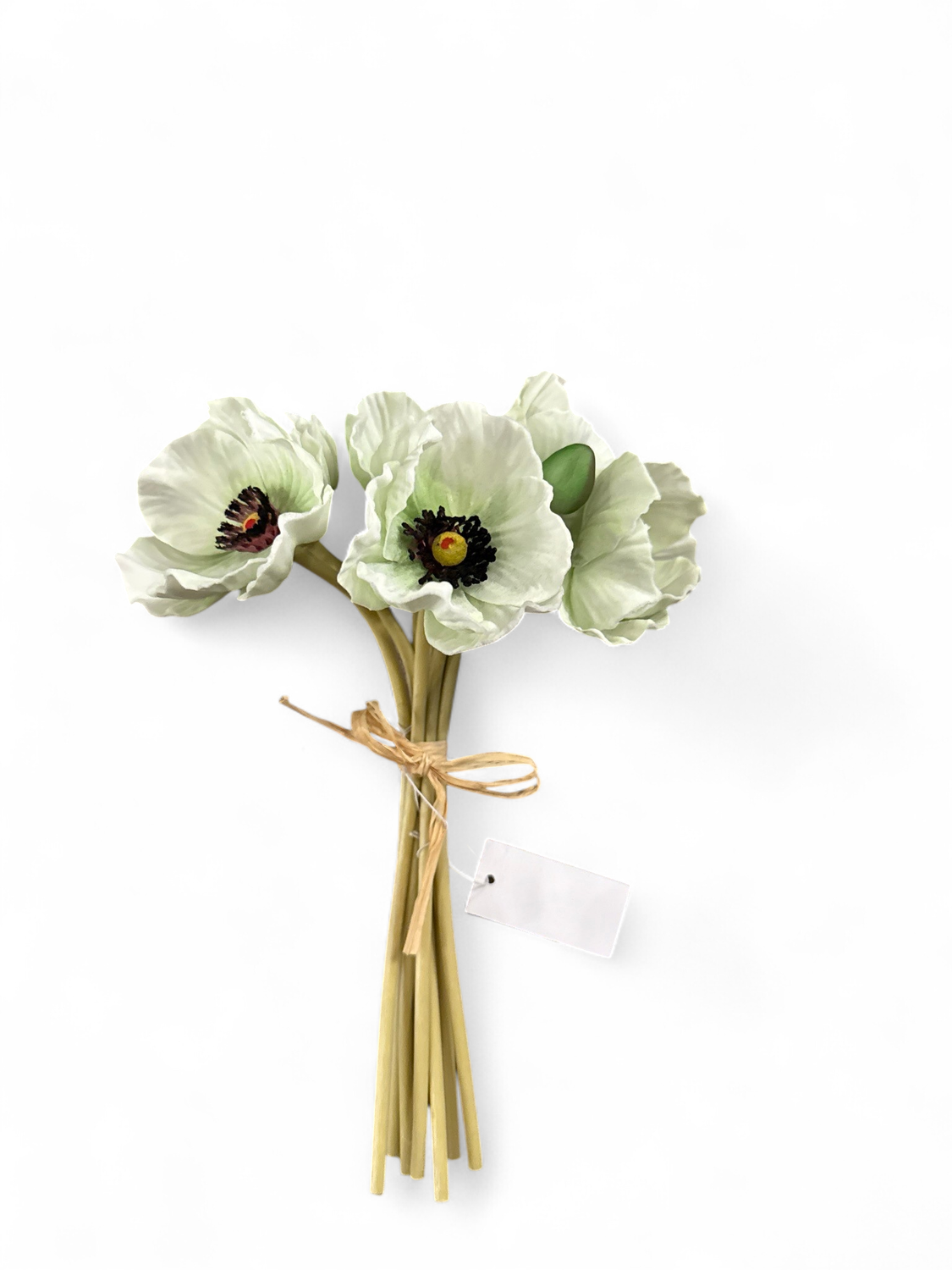 Mint Poppy Bundle