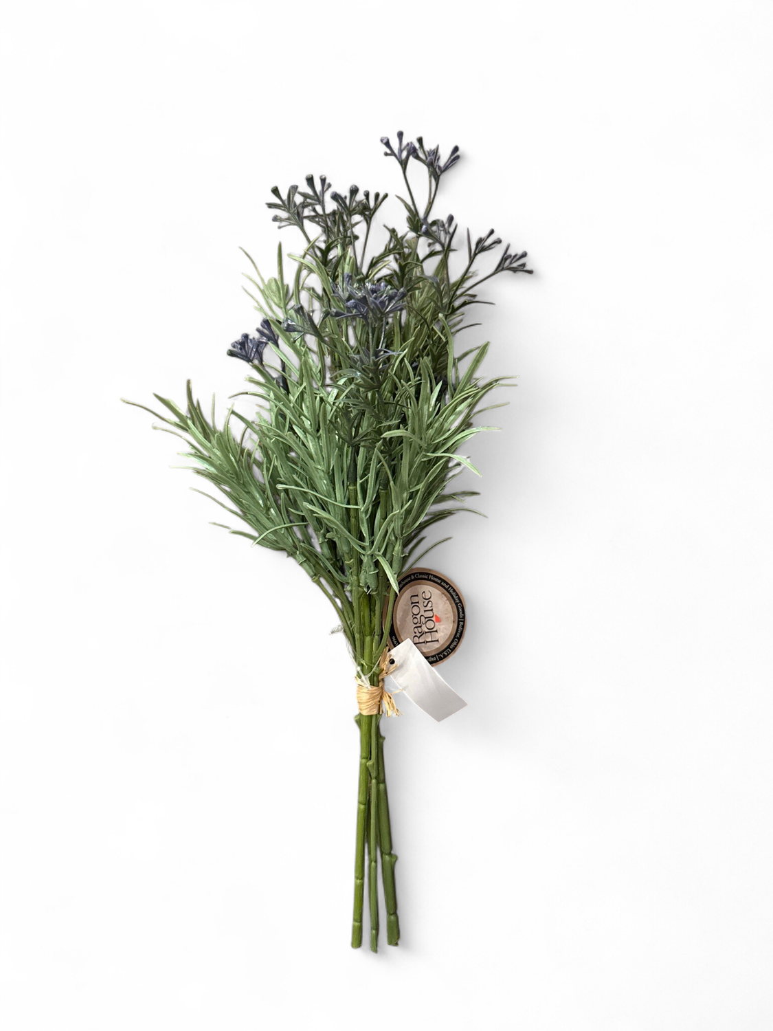 Asparagus Grass Bundle