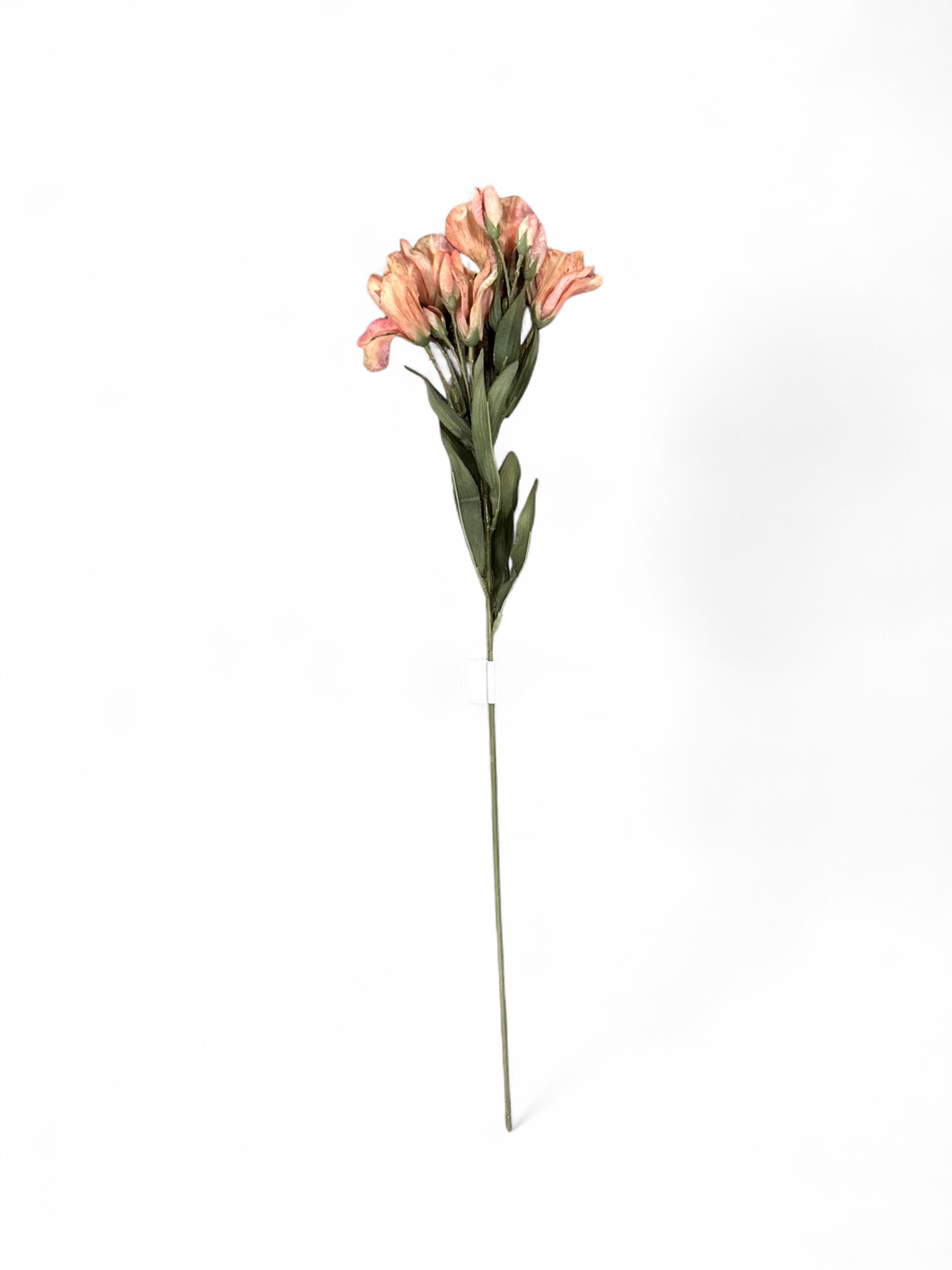 Floral 10- Pink