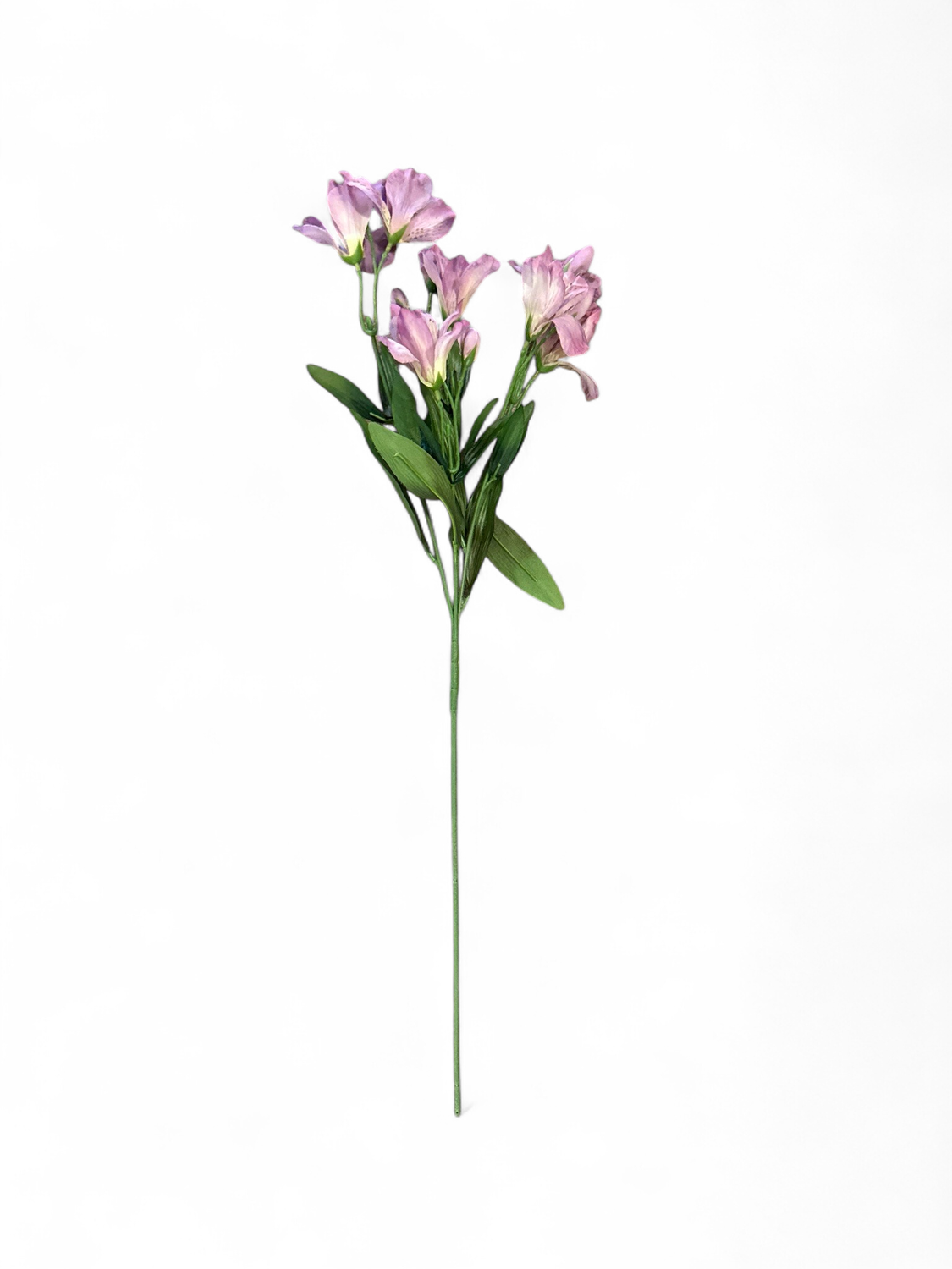 Floral 10- Purple