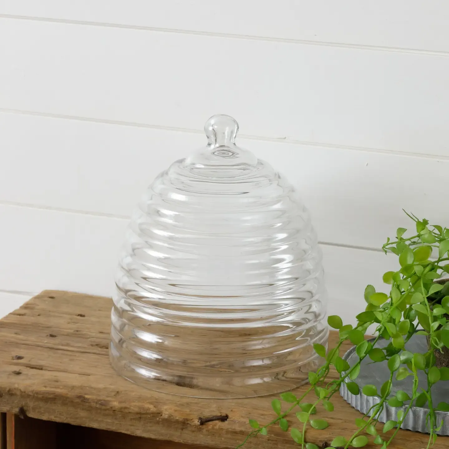 Cloche Bee Hive