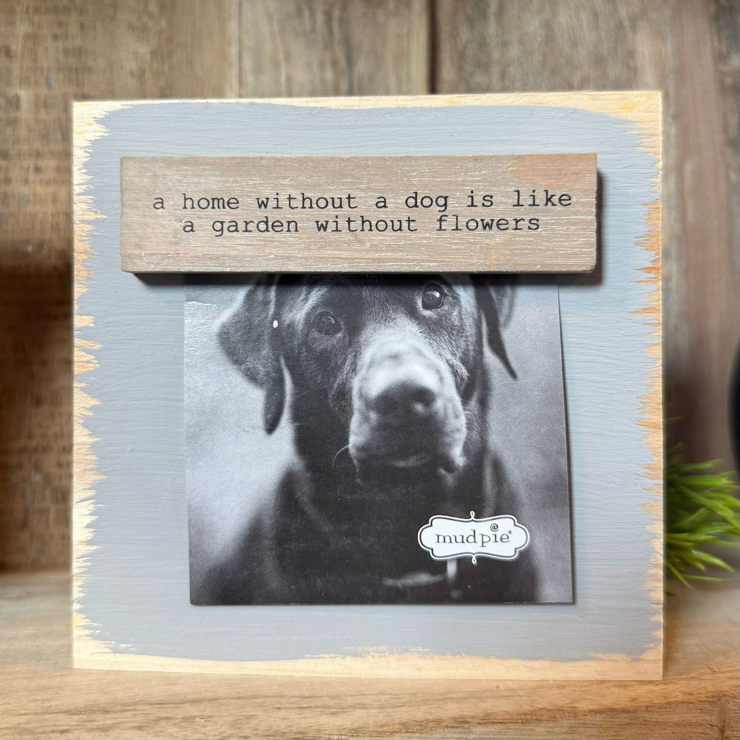 Pet Wood Block Frames