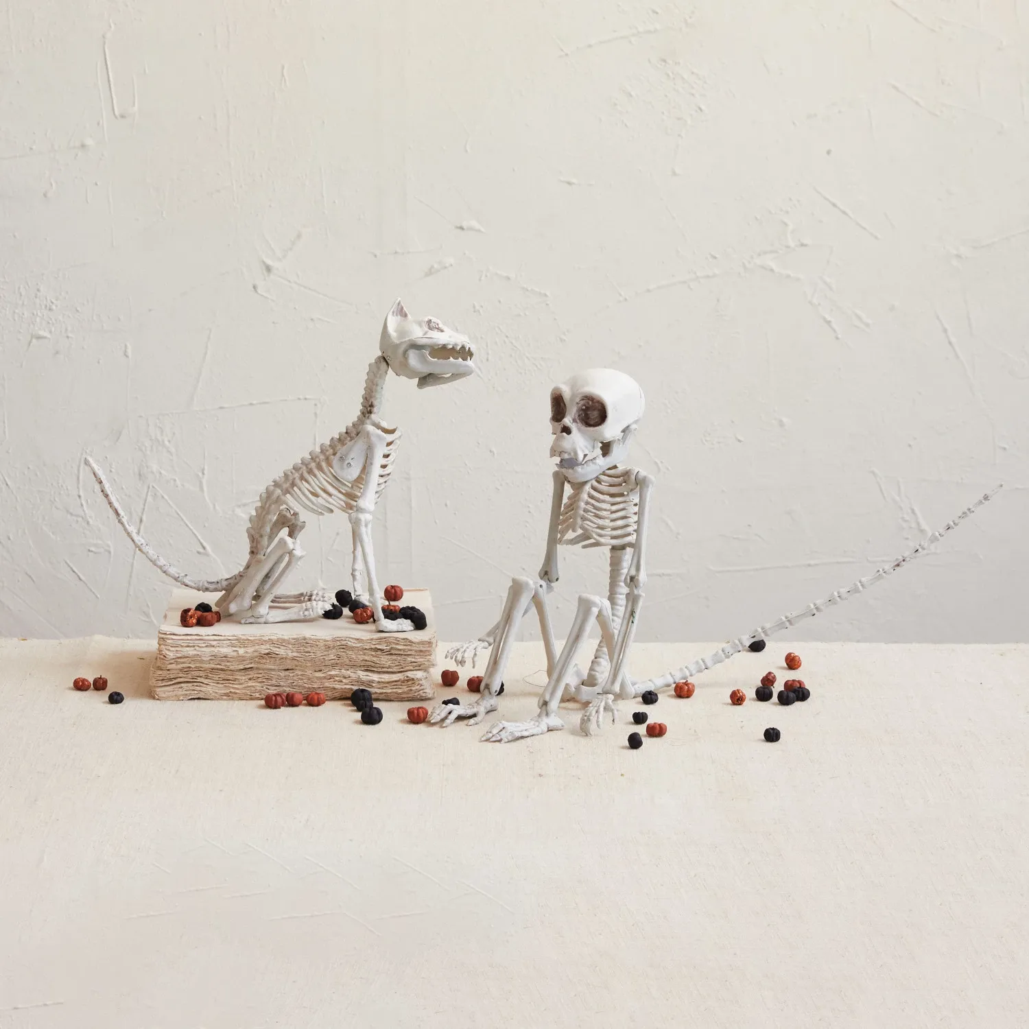 HWN Plastic Cat Skeleton Decor
