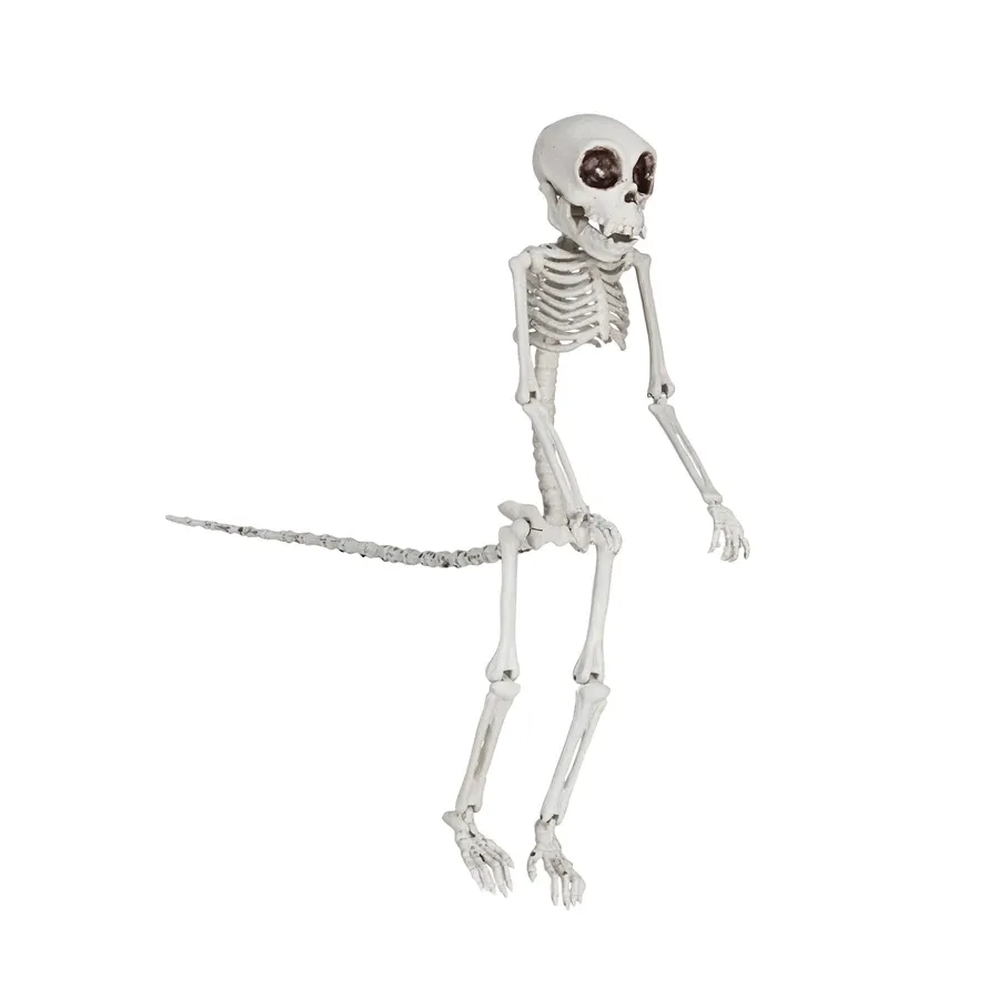 HWN Plastic Monkey Skeleton Decor