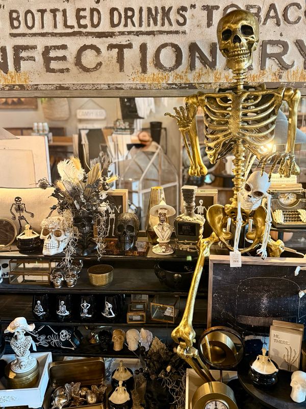 Skeleton