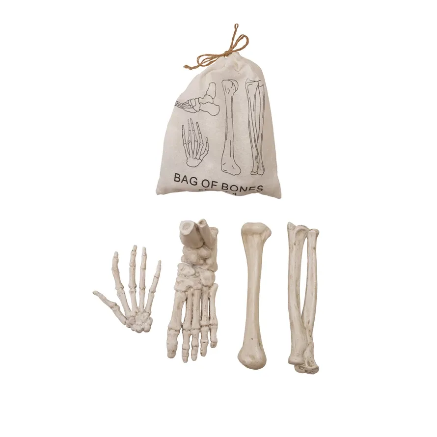 HWN Set/4 Resin Bones In Drawstring Bag