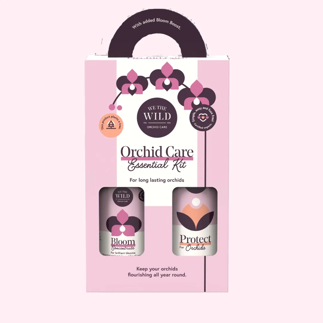 Plant Orchid Essential Kit