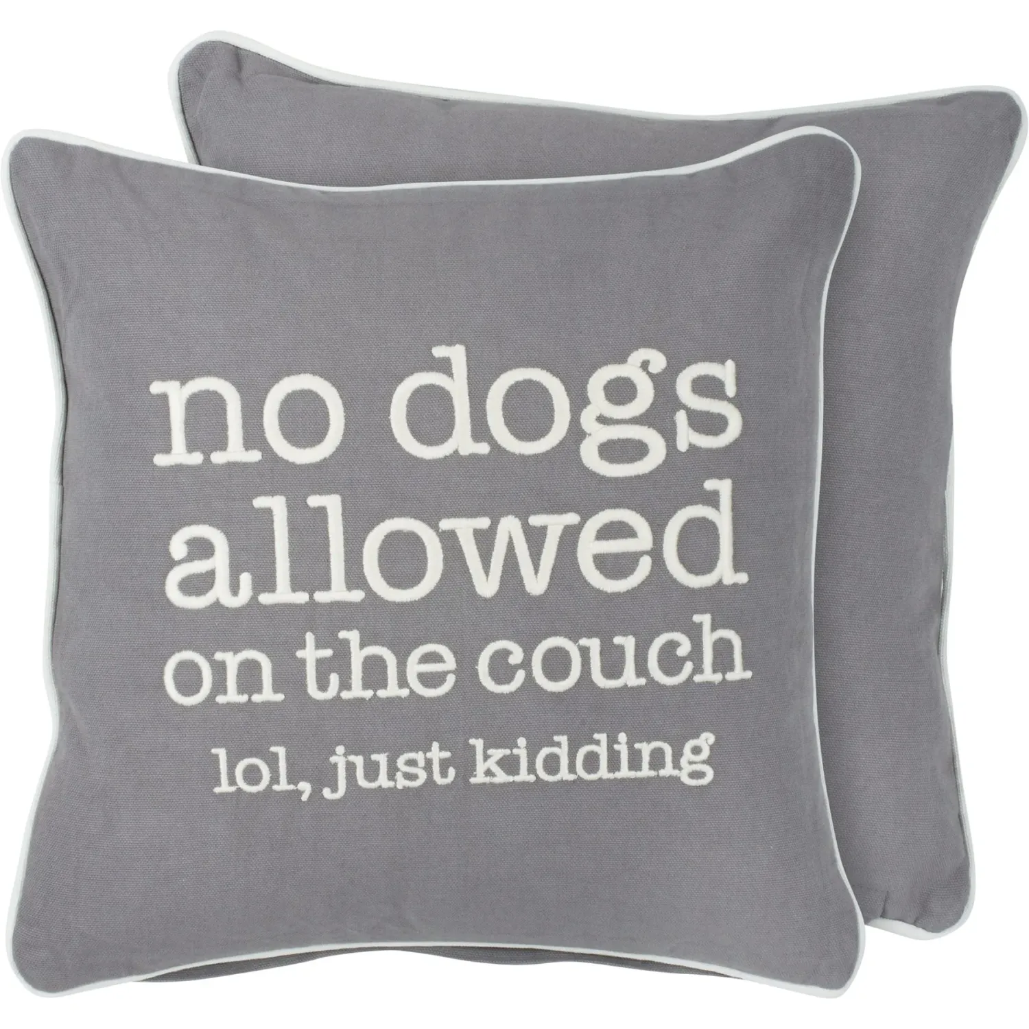 Pillow No Dogs On Couch